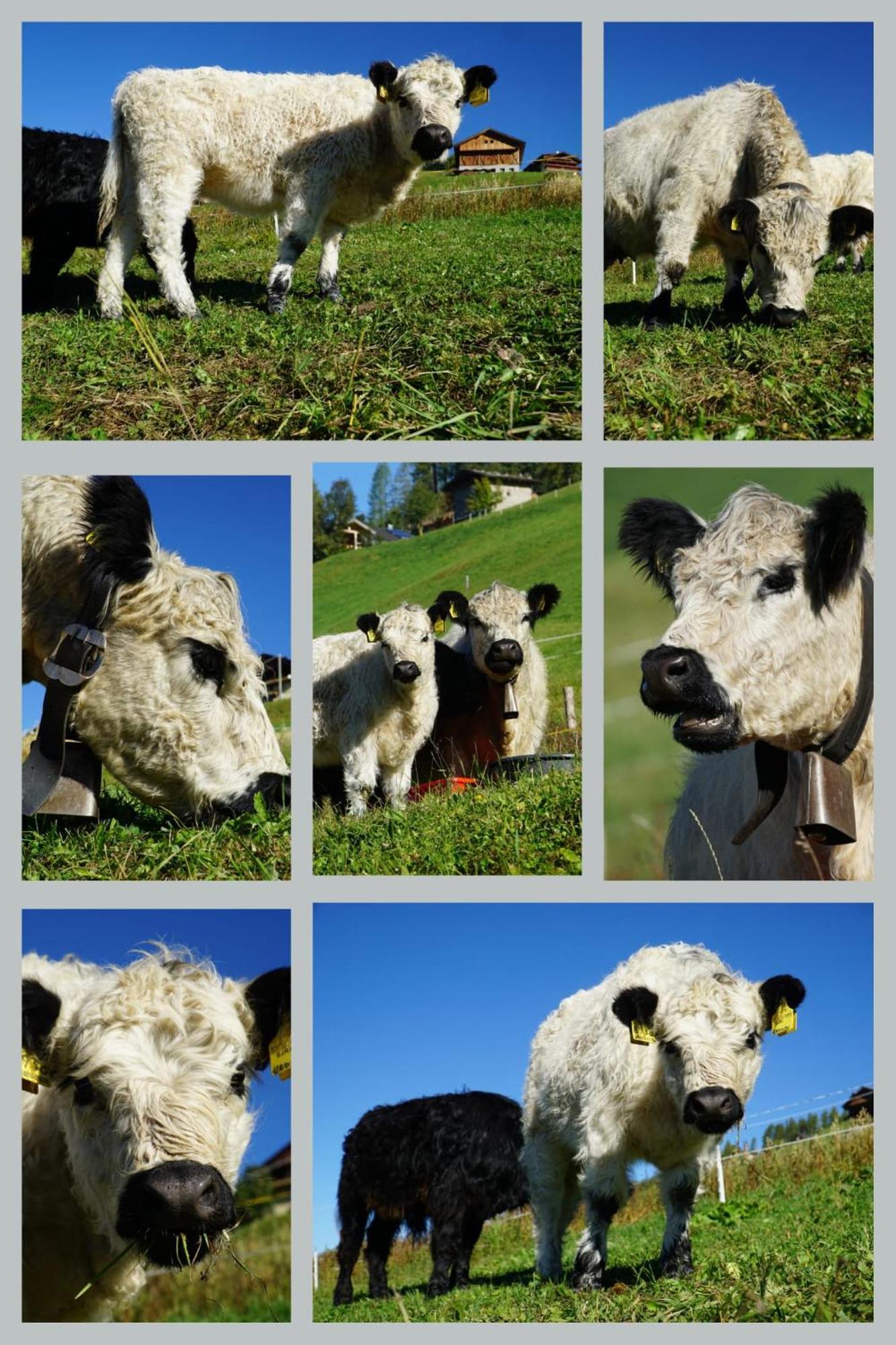 Kofelhof Sexten Exterior foto
